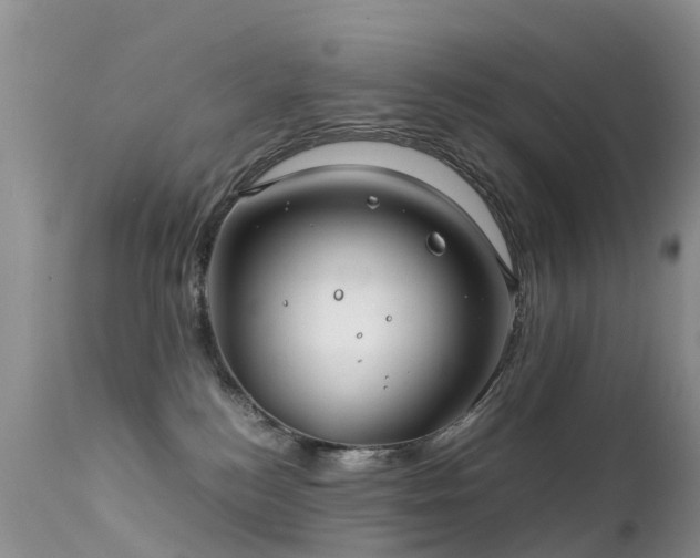 X0000112210184200908141507