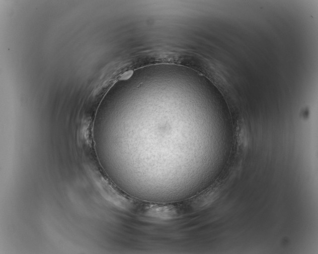 X0000112210185200908141507