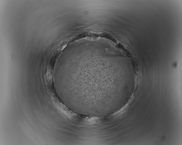 X0000112210186200908141507