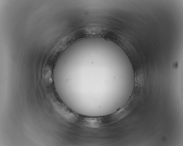 X0000112210187200908141507