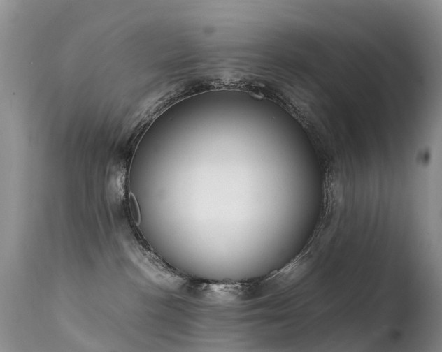 X0000112210188200908141507