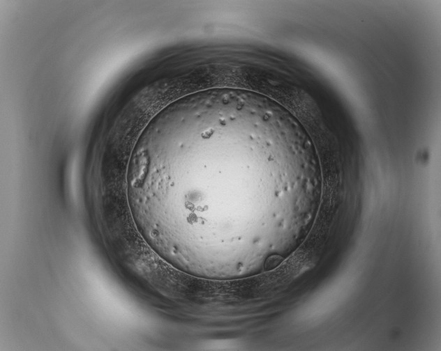 X0000112210189200908141507