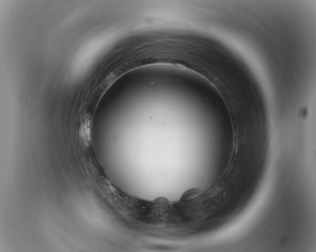 X0000112210190200908141507