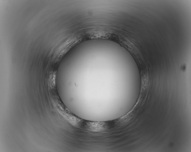 X0000112210191200908141507