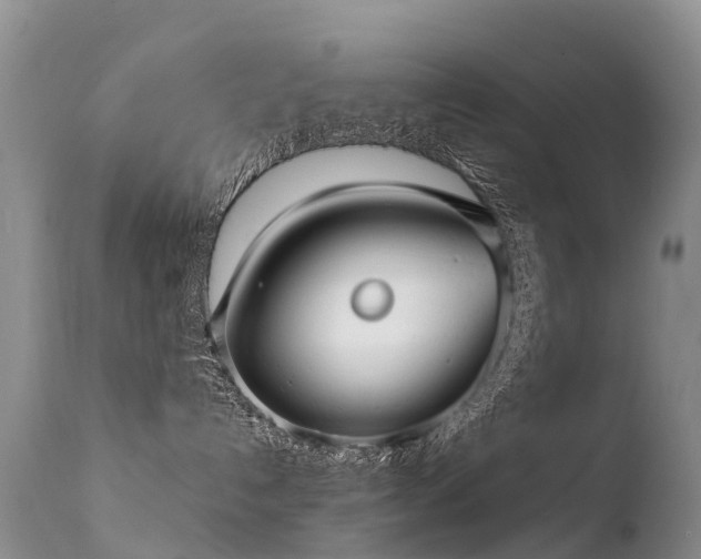 X0000112210192200908141507