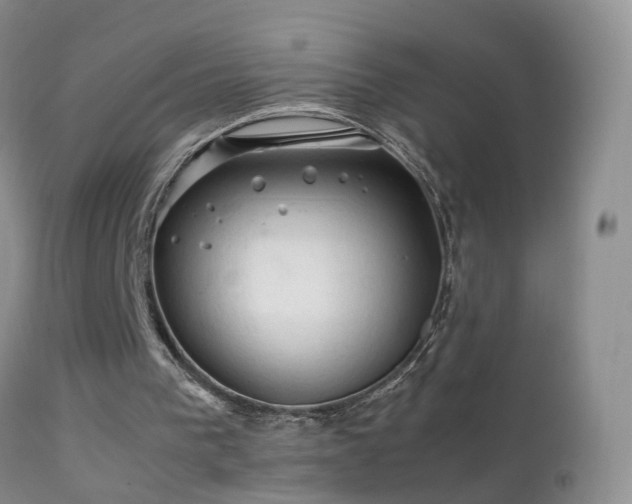 X0000112210193200908141506