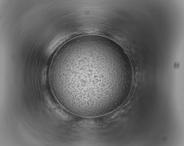 X0000112210194200908141506