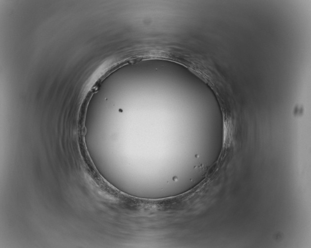 X0000112210195200908141506