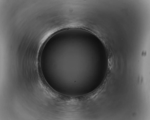 X0000112210196200908141506