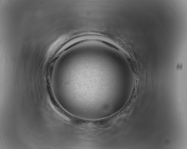 X0000112210197200908141506