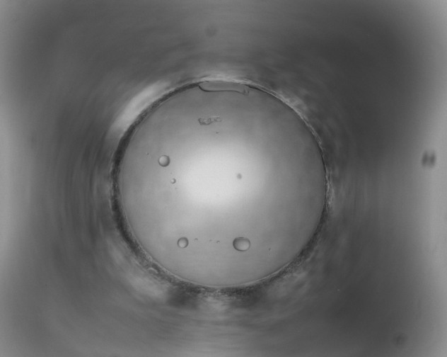 X0000112210199200908141506