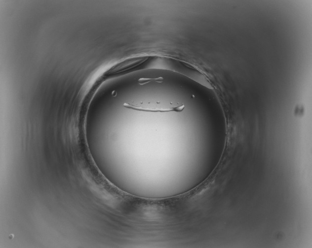 X0000112210200200908141506