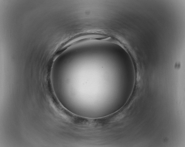 X0000112210201200908141506