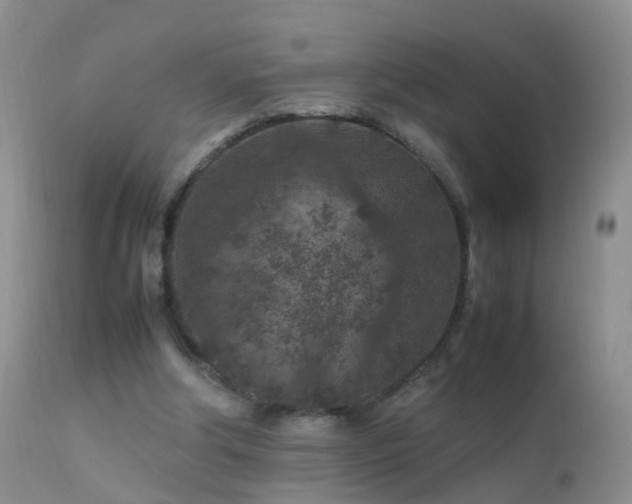 X0000112210202200908141506