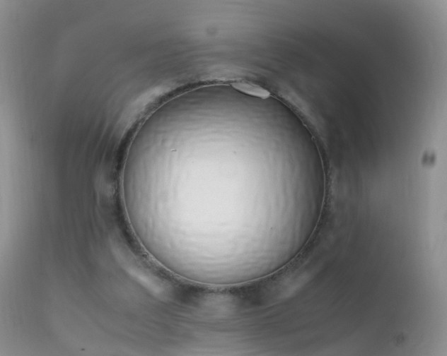 X0000112210203200908141506