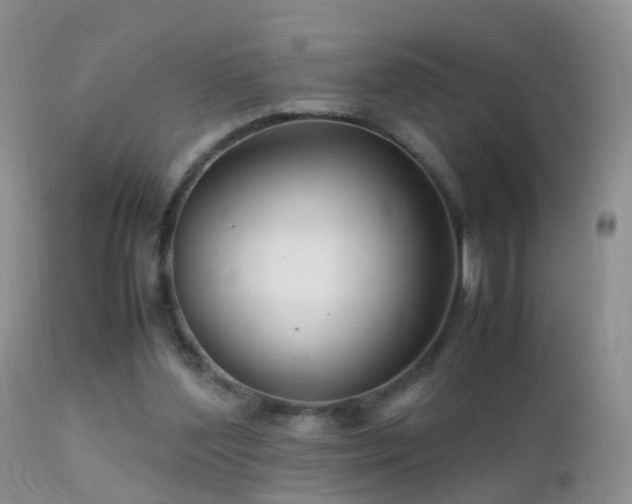 X0000112210204200908141506