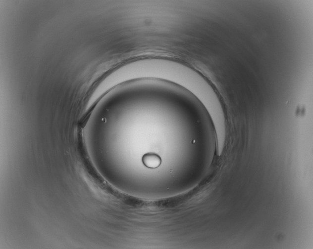 X0000112210205200908141506