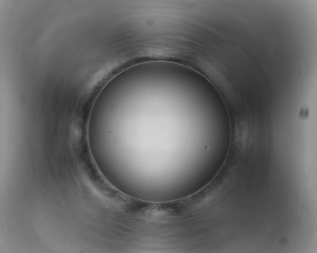 X0000112210208200908141506