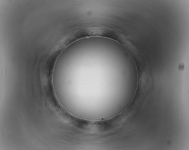 X0000112210209200908141506