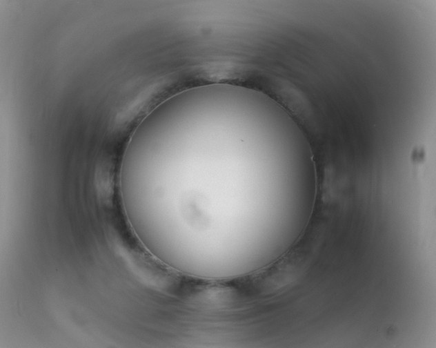 X0000112210210200908141506