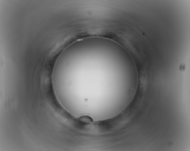 X0000112210211200908141506