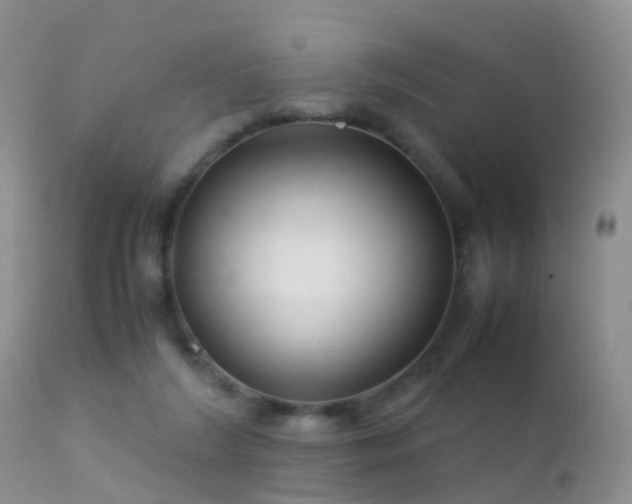 X0000112210212200908141506