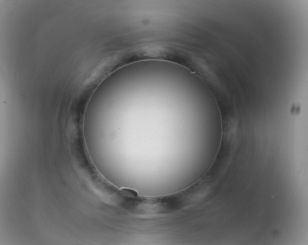 X0000112210213200908141506