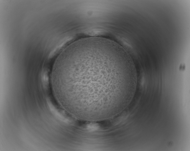 X0000112210214200908141506