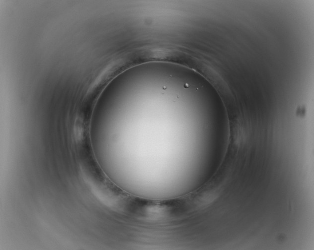 X0000112210216200908141506