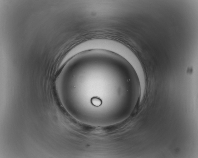 X0000112210217200908141505