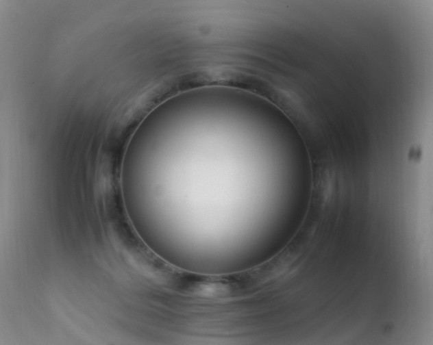 X0000112210220200908141505