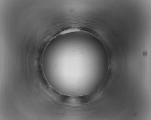 X0000112210221200908141505