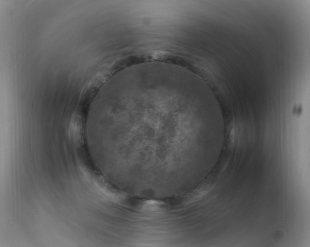 X0000112210222200908141505