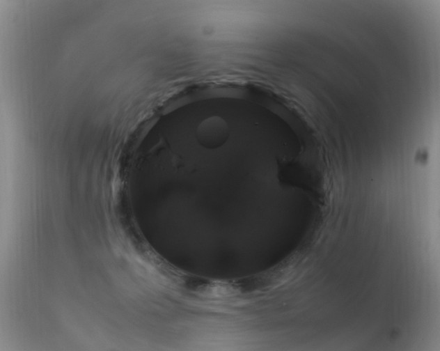 X0000112210223200908141505