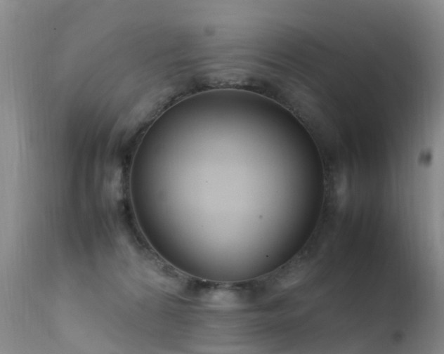 X0000112210224200908141505