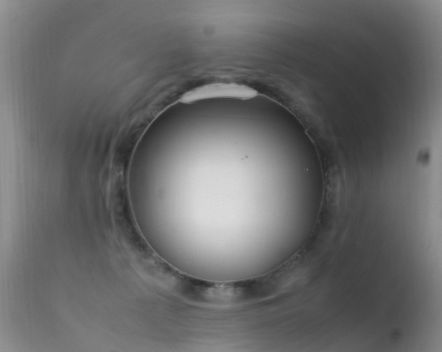 X0000112210225200908141505