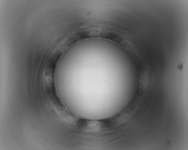 X0000112210226200908141505