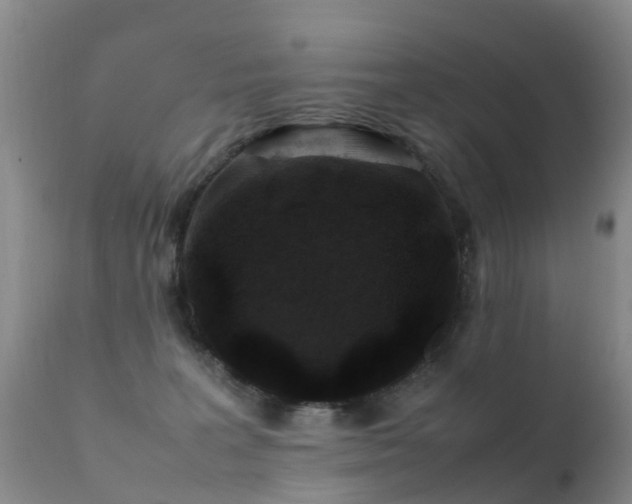 X0000112210227200908141505