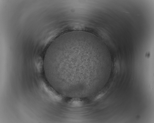 X0000112210228200908141505