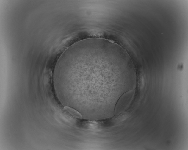 X0000112210229200908141505