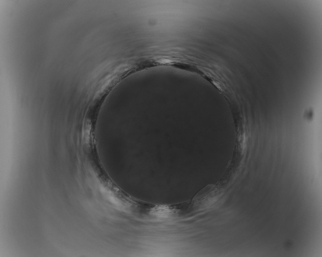 X0000112210231200908141505