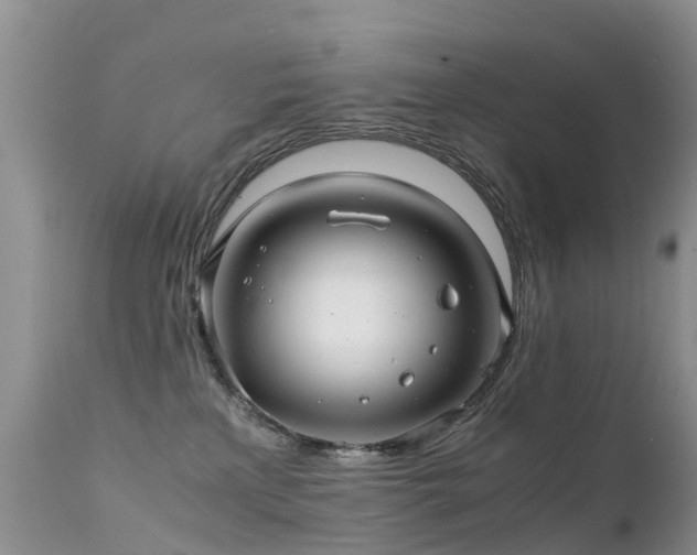 X0000112210233200908141505