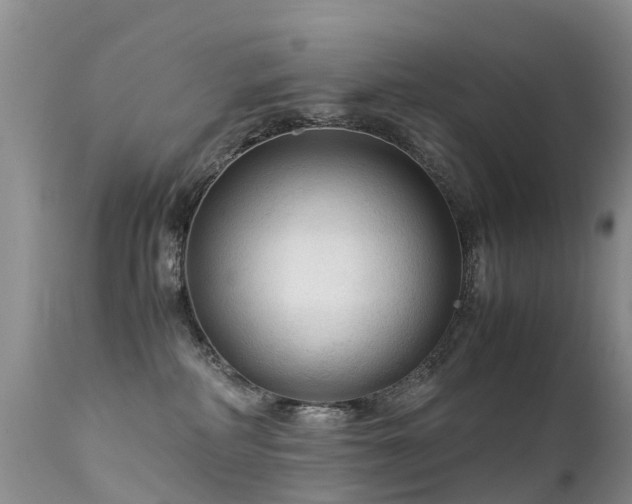 X0000112210234200908141505