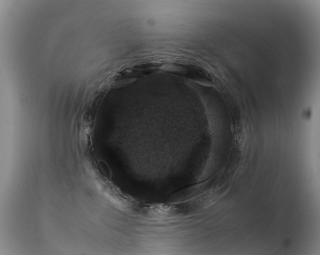 X0000112210235200908141505