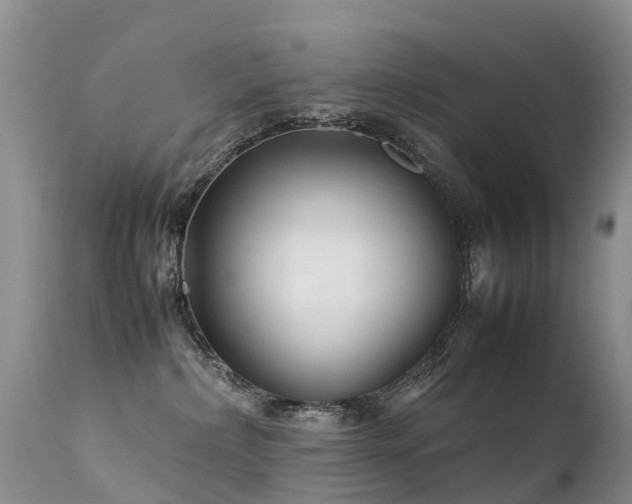 X0000112210236200908141505