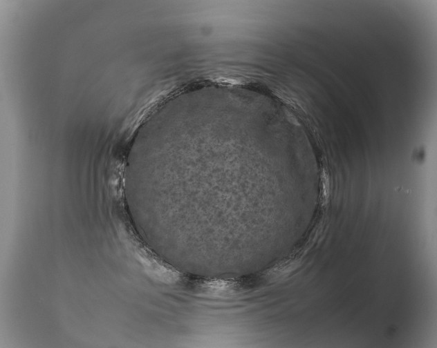 X0000112210237200908141505