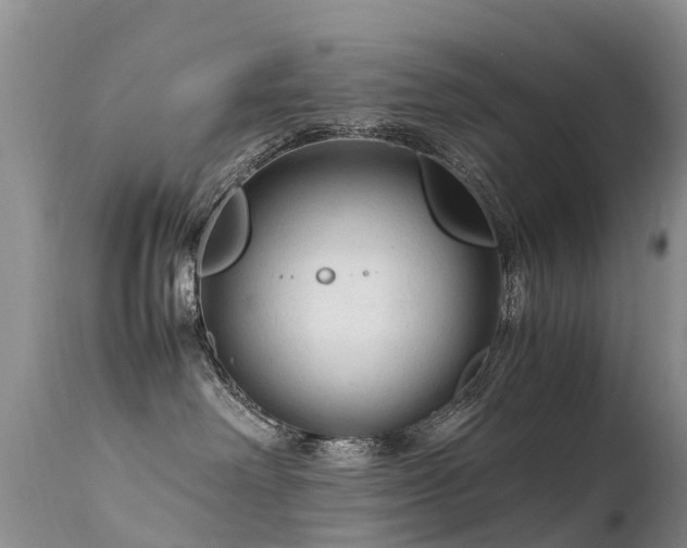 X0000112210238200908141505