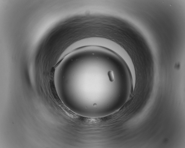 X0000112210239200908141505