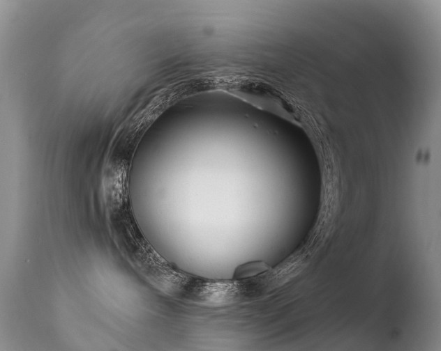 X0000112210240200908141505