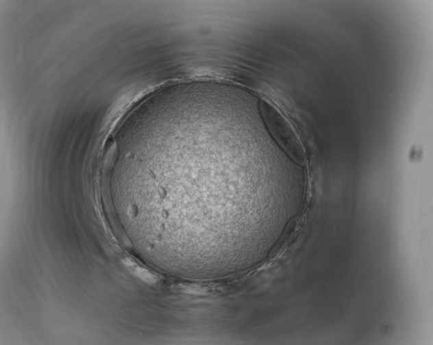 X0000112210241200908141504